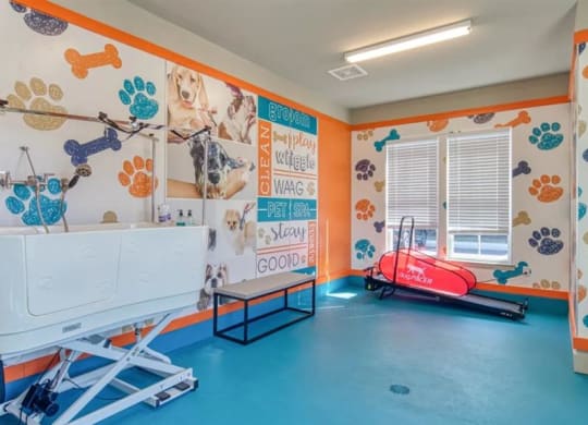 a therapy room with orange walls and blue flooring at Artistry at Winterfield Apartments, Midlothian ,23112