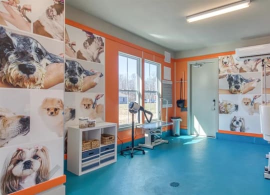 a room with orange walls and a blue floor at Artistry at Winterfield Apartments, Midlothian, VA, 23112
