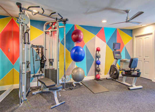 a home gym with a colorful wall and exercise equipment at Hunters Chase Apartments, Midlothian, VA, 23112