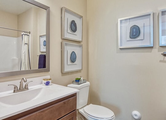 a bathroom with a toilet sink and mirror  at Sapphire at Centerpointe, Virginia
