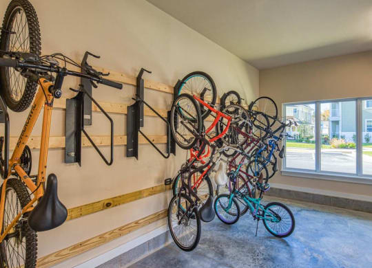 Bike Storage at Sapphire at Centerpointe, Virginia
