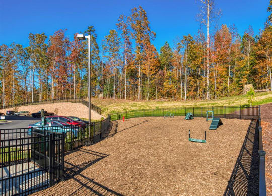 Dog Park at Sapphire at Centerpointe, Virginia, 23114