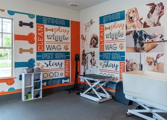 Pet washing station at 2000 West Creek Apartments, Virginia, 23238