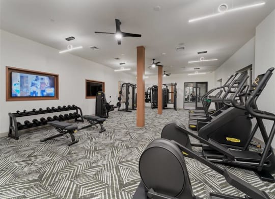 the gym at the monarch luxury apartments in des plaines at Tapestry West, Richmond, 23230