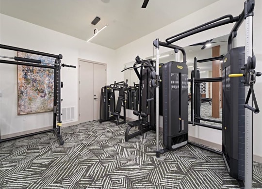 the apartments at masse corner 205 fitness room at Tapestry West, Richmond