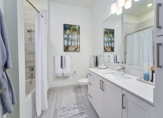 a bathroom with a sink toilet and shower at Tapestry West, Virginia