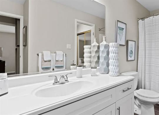 a bathroom with a sink toilet and shower at Trails at Short Pump Apartments, Richmond ,23233
