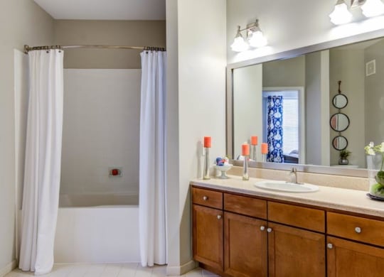 a bathroom with a shower sink and mirror at Sterling Manor, Williamsburg, 23185