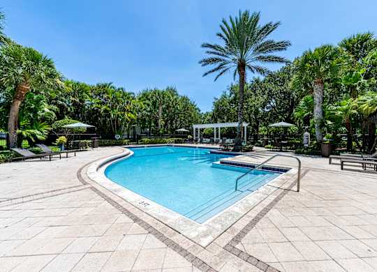 A pool surrounded by palm trees and lounge chairs.