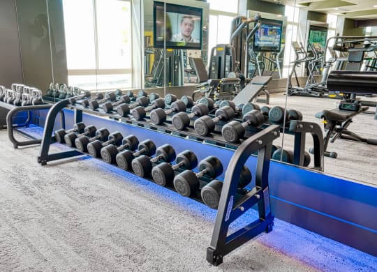 a rack of dumbbells in a gym at Vista Brooklynn Apartments, Jacksonville