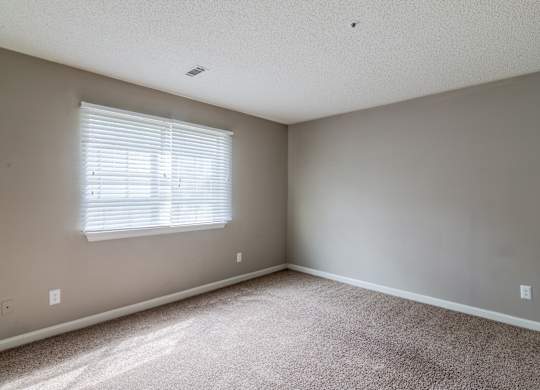 A room with a carpeted floor and a window with blinds.