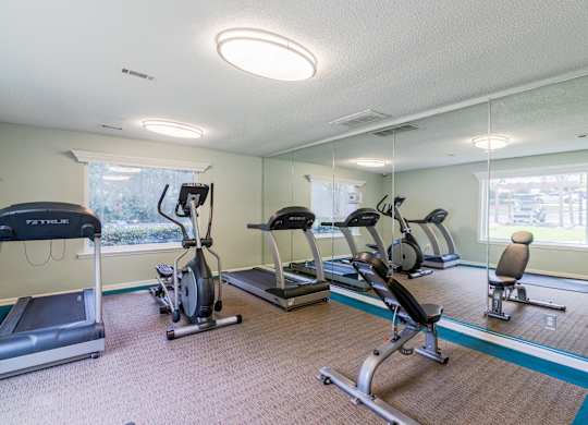 A gym with treadmills, exercise bikes, and other equipment.