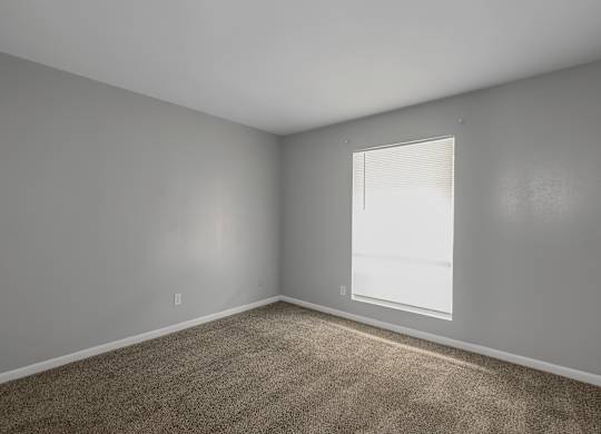 Plush Carpeting at Lifestyle at Shreveport Apartments, Shreveport, LA, 71109