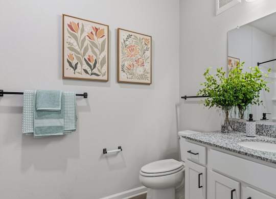 A bathroom with a toilet, sink, and two framed pictures on the wall.