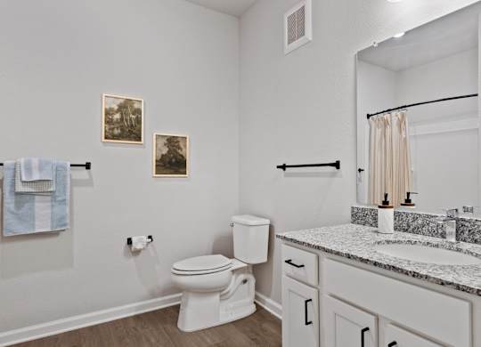 A bathroom with a toilet, sink, and a mirror.