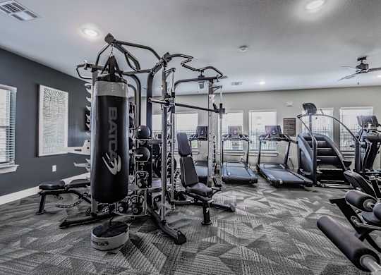 A well-equipped gym with a variety of machines and weights.