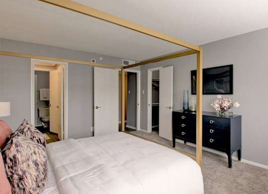 Spacious master bedroom
