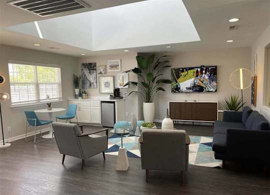 A living room with a grey sofa, a grey armchair, a blue chair, a TV, a plant, and a rug.