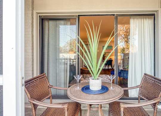 A table with chairs and a vase with a plant in it.