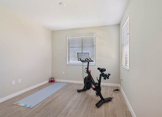 A room with a stationary bike and a yoga mat.