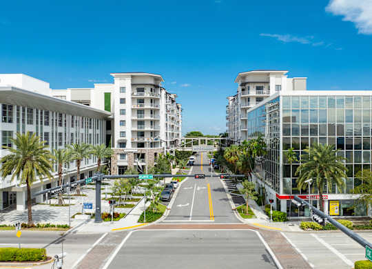 A street view of a residential area with modern buildings and palm trees.