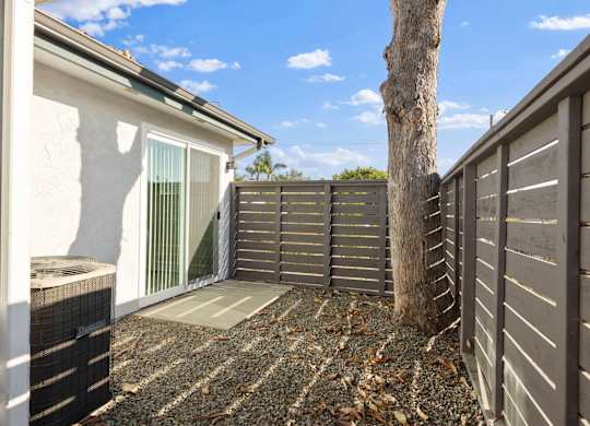 A tree is growing in a gravel area between two fences.