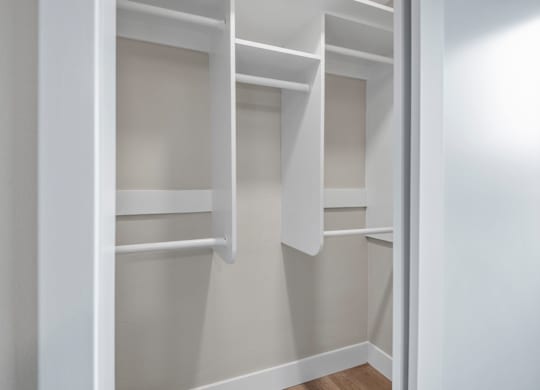 A white closet with shelves and a door open.