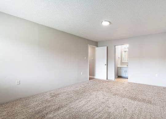 A spacious room with a carpeted floor and a small kitchenette in the background.