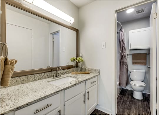 A bathroom with a sink, mirror, and toilet.