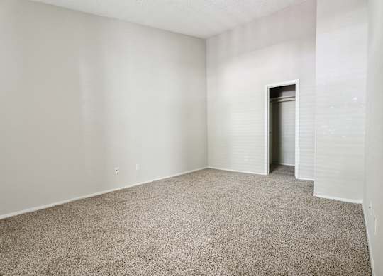 Plush Carpeting at Anson at North Hills, North Carolina