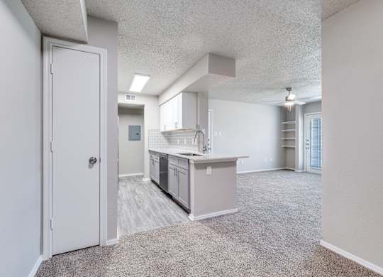A kitchen area with a white door and a countertop.