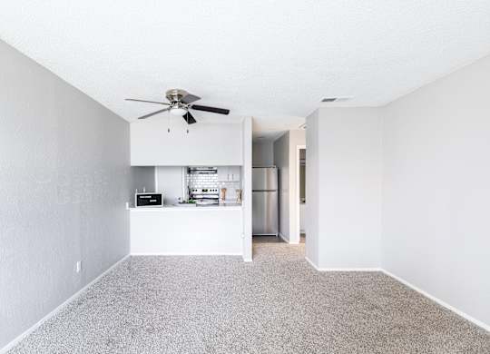 Living And Kitchen View at Leander, Texas