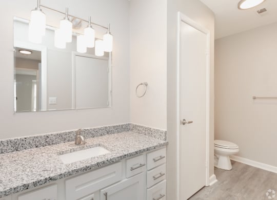 a bathroom with a sink and a toilet and a mirror