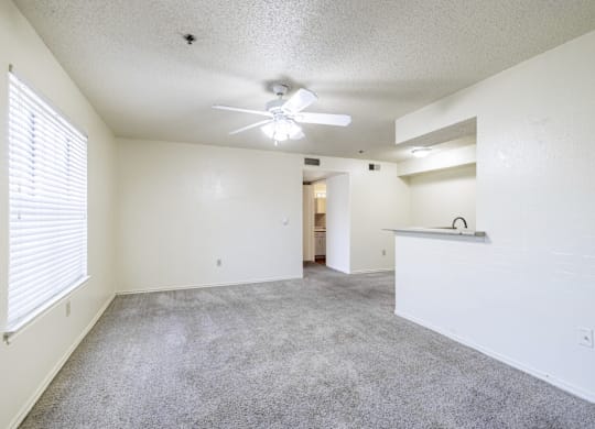A spacious room with a ceiling fan and carpeted floor.