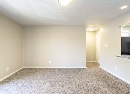 A sparsely furnished room with a carpeted floor and a window.