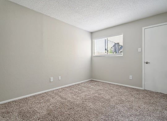 A room with a carpeted floor and a window letting in light.