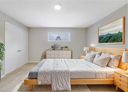a bedroom with a bed and a dresser