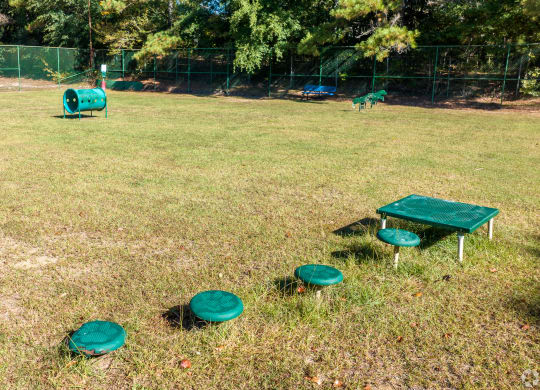 a pet park