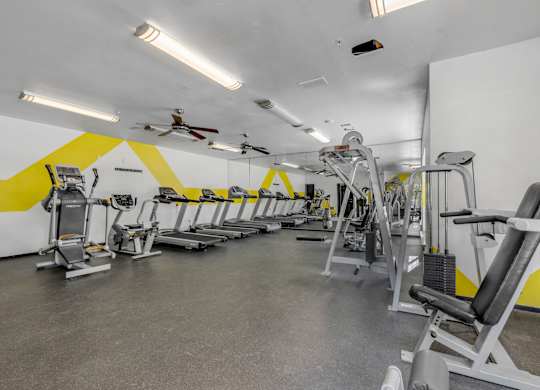 A gym with a variety of equipment including treadmills, weights, and a fan.