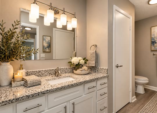 A bathroom with a marble countertop and a large mirror above it.