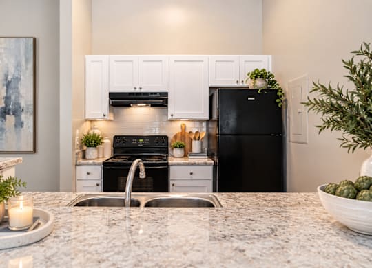 A kitchen with a black fridge, white cabinets, and a marble countertop.