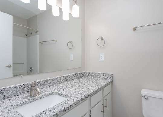 a bathroom with a sink and a mirror and a toilet