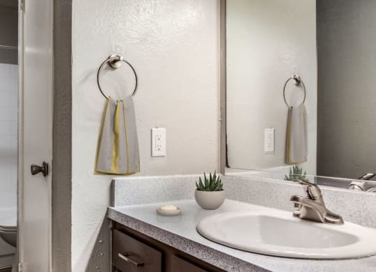 a bathroom with a sink and a shower and a mirror  at Shadow Ridge, Arlington, 76013