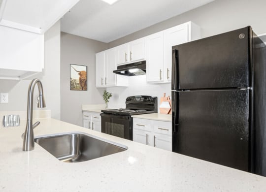 a white kitchen with a black refrigerator and a sink