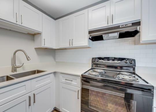 renovated kitchen with quartz countertops and stove at Cameron, North Carolina