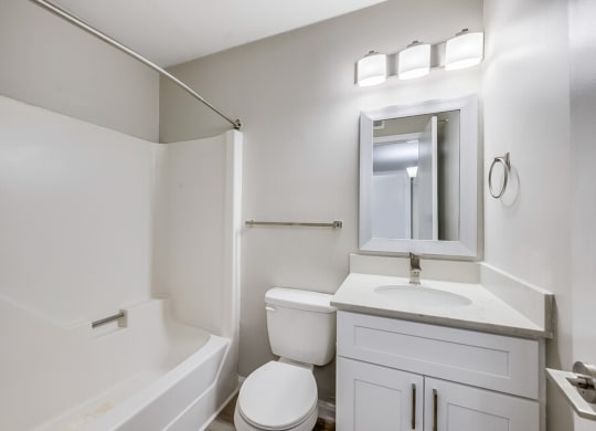 a bathroom with a sink and a toilet and a bath tub