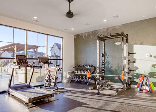 A gym with treadmills, weights, and exercise equipment.