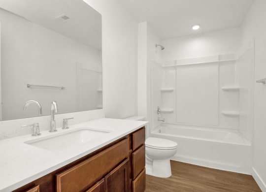 a bathroom with a sink and a toilet and a bath tub