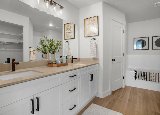 A bathroom with a white sink and a white vanity.