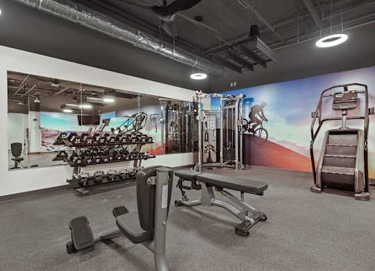 A gym with a variety of equipment including weights and a treadmill.